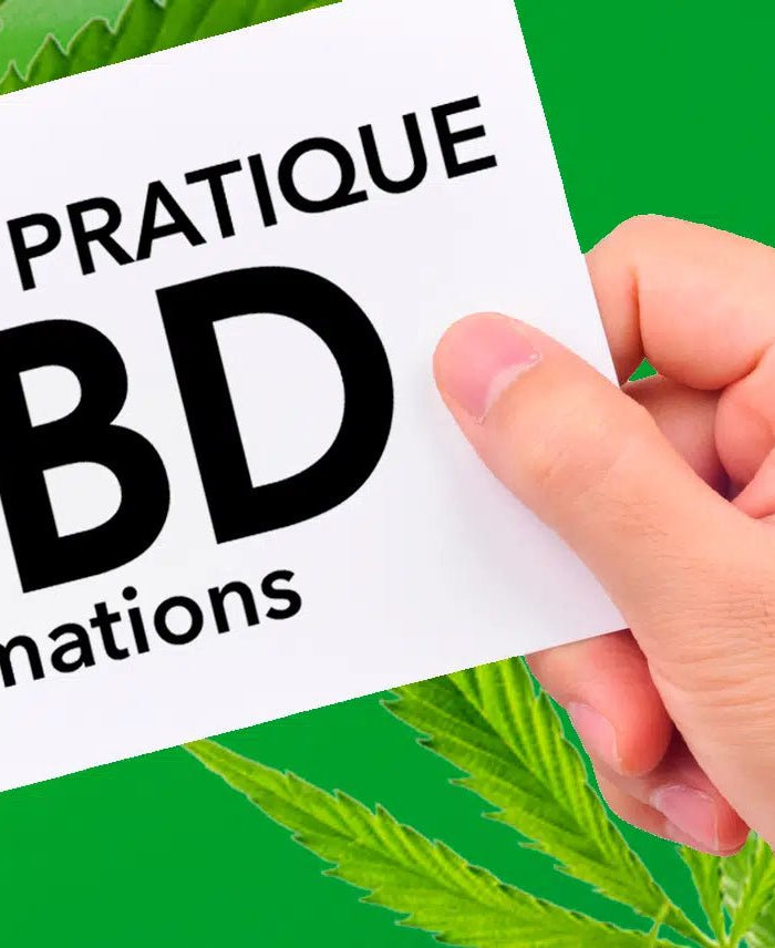En savoir plus sur le CBD : Une Journée Pas Comme les Autres ! - HerBeevor