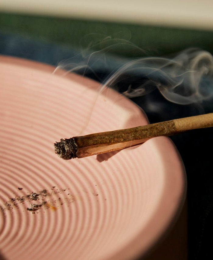 Est-il légal de rouler et fumer du CBD ? Découvrez la réglementations en France - HerBeevor