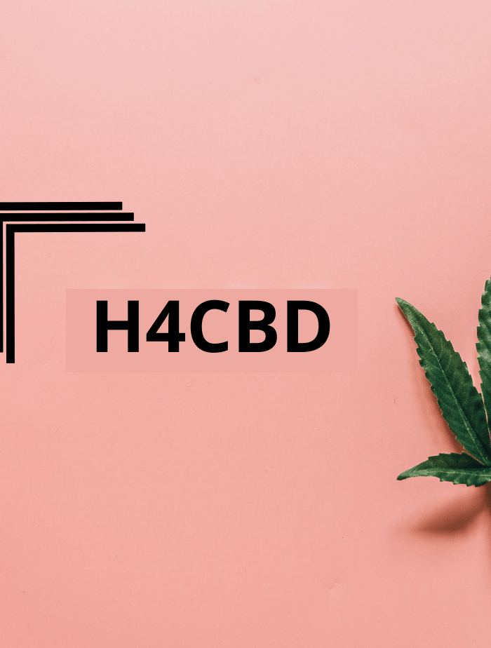 Découvrez le H4CBD : La Nouvelle Avancée dans le Domaine du Chanvre - HerBeevor