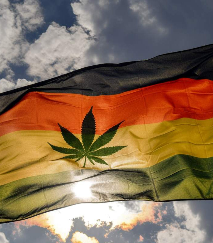 La Nouvelle Ère du Cannabis en Allemagne : Comprendre la Légalisation et ses Implications - HerBeevor