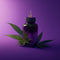 Collection d'Huiles de CBD : Pureté et Potence Garanties - HerBeevor