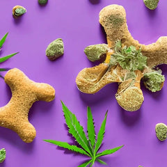 Friandises chiens CBD - HerBeevor