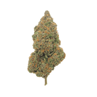 Fleur CBD Black Sugar Rose 21% - Cultivée en Italie