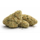 Gros plan sur fleurs Amnesia CBN avec têtes compactes riches en trichomes, aspect résineux naturel, idéal pour sommeil et relaxation profonde