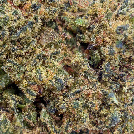 Têtes bud mix de la fleur Fruit Cake CBN 30% Herbeevor – détail des trichomes