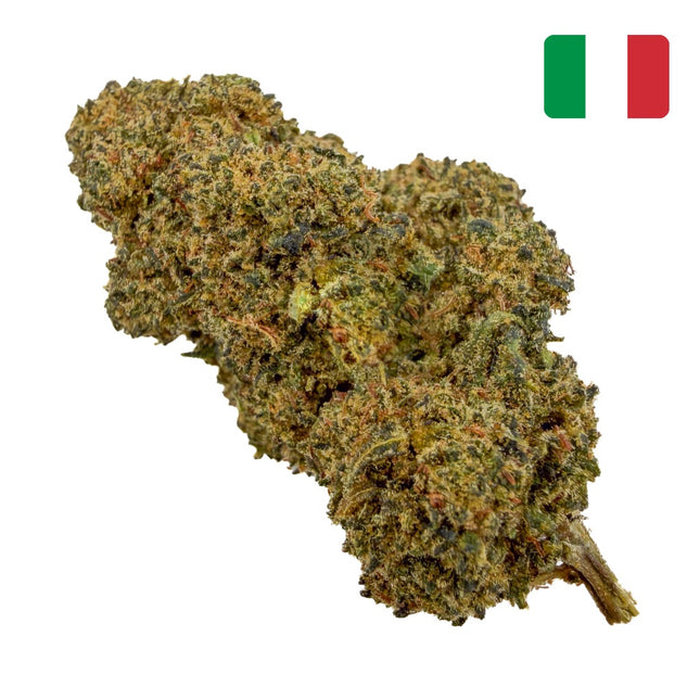 Fleur de chanvre Fruit Cake CBN 30% Glass-House cultivée en Italie – Herbeevor