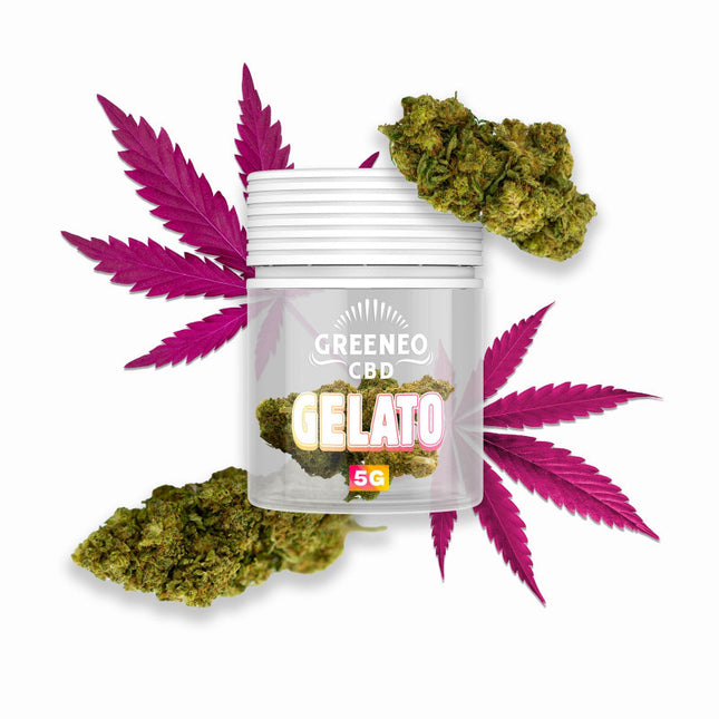 Gelato 12 % – Fleur CBD – Greeneo — 5 g