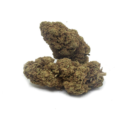 Deux fleurs de Bubba Kush à 30% de CBN avec des bourgeons compacts et des nuances vert foncé