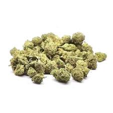 Lemon Haze – CBD-Blüte Indoor – Sport & Fokus – 14%