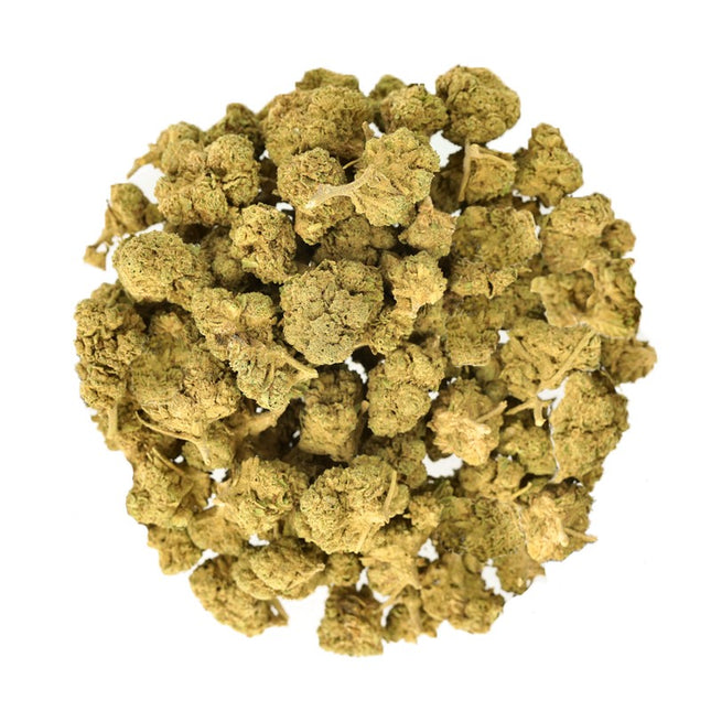 Fleur Lemon Haze CBD Small Bud cultivée sous serre, vue rapprochée des petites têtes