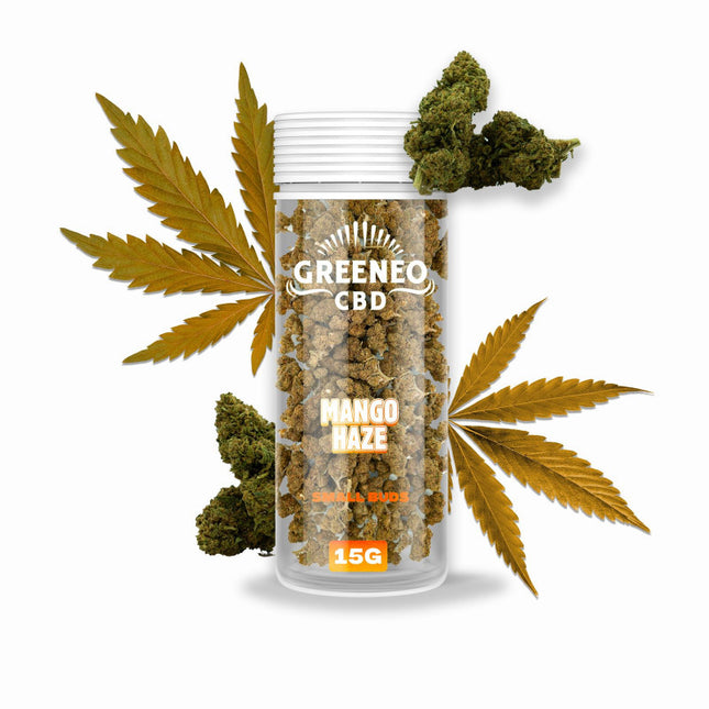 Mango Haze 6 % – Fleur CBD – Greeneo — 20 g