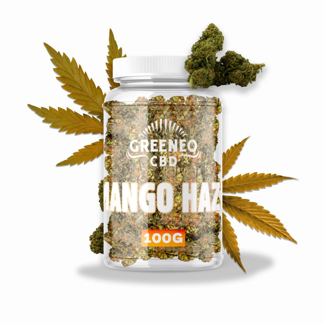 Mango Haze 6 % – Fleur CBD – Greeneo — 100 g