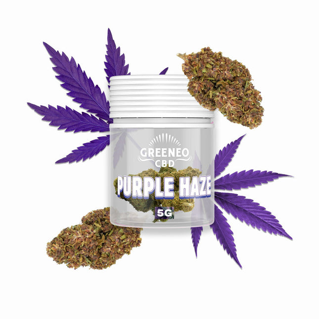 Purple Haze 10 % – Fleur CBD – Greeneo — 5 g